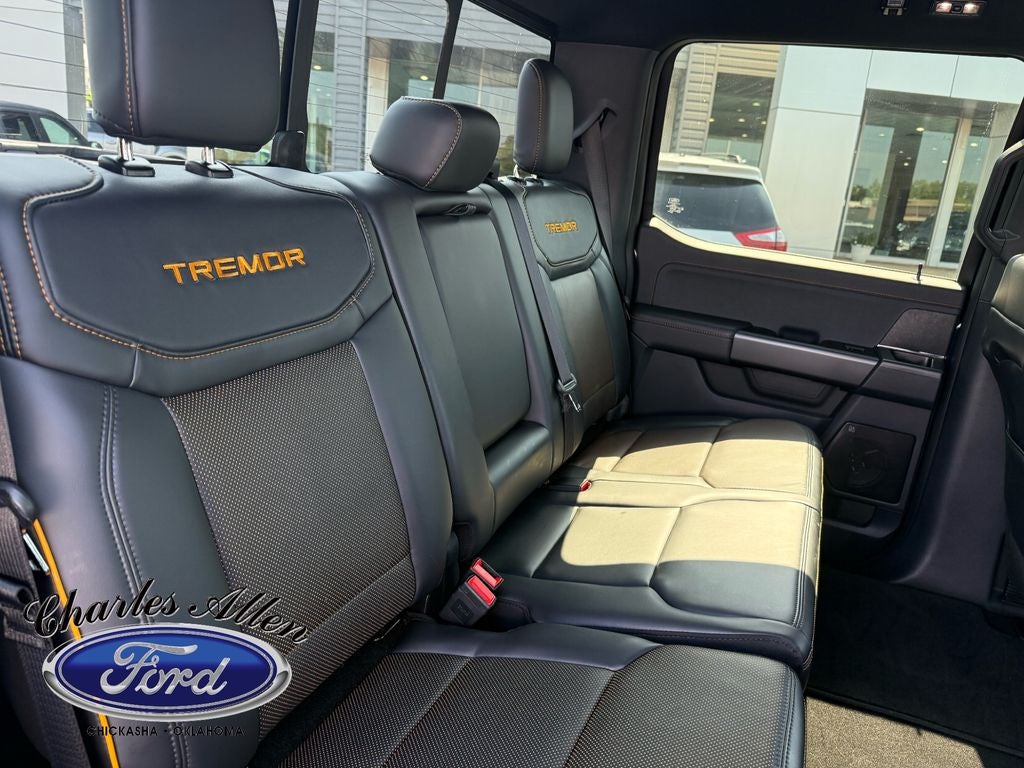 2025 Ford F-150 Tremor - Photo 17